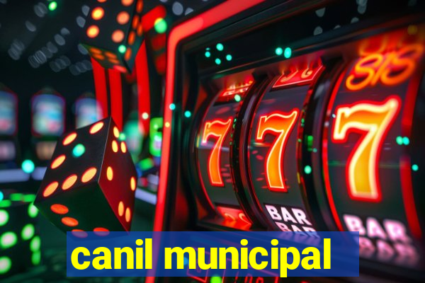 canil municipal